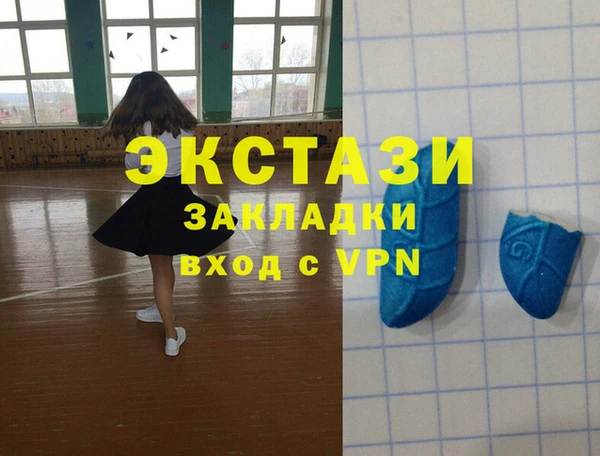 стаф Медногорск