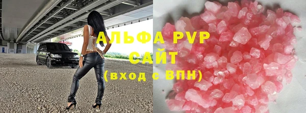 стаф Медногорск