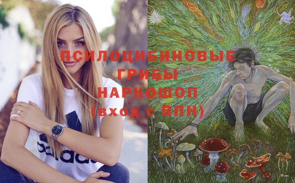 стаф Медногорск