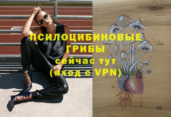 каннабис Медвежьегорск