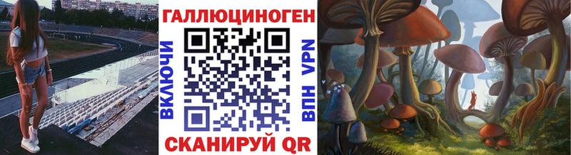 Псилоцибиновые грибы Psilocybine cubensis  Орлов 